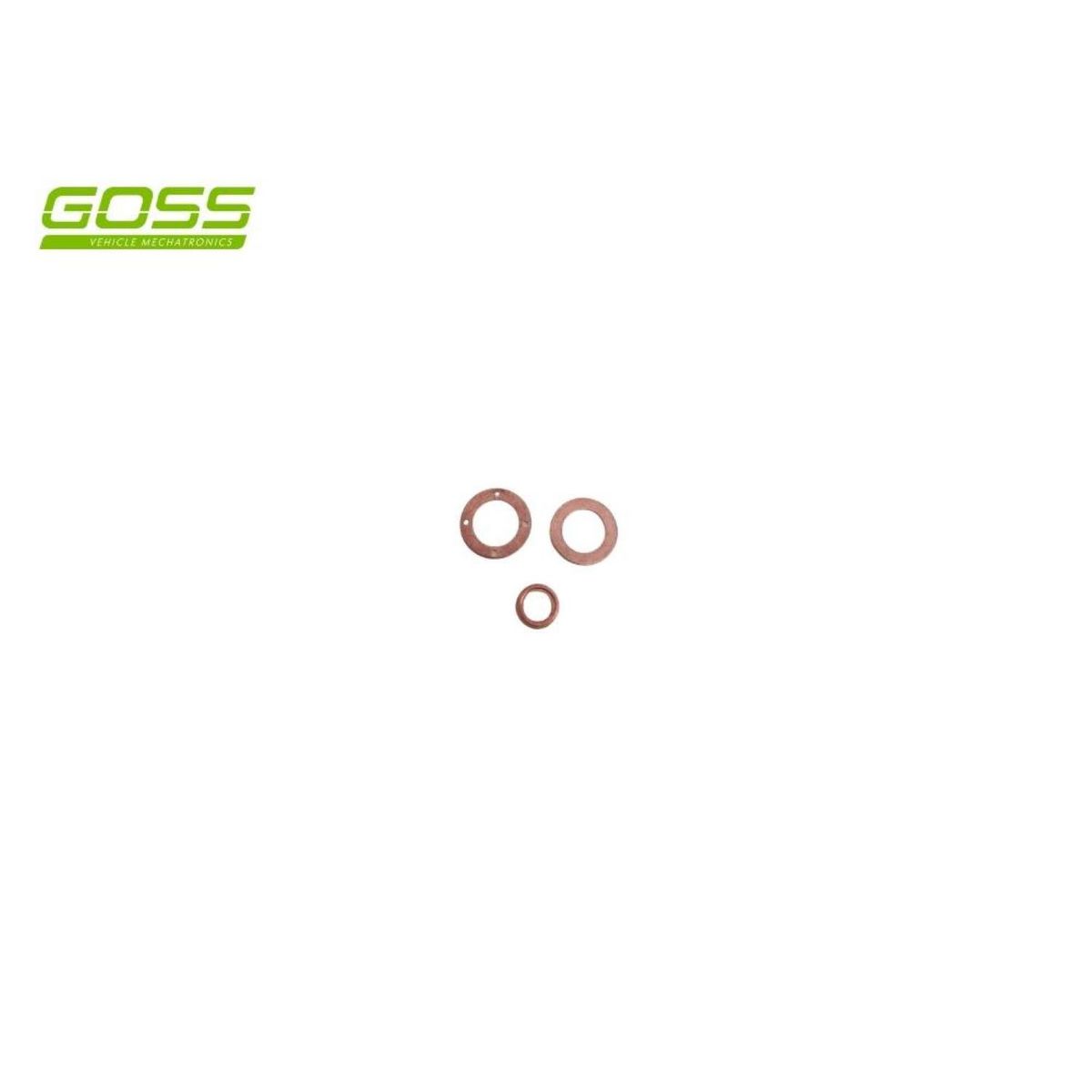 Goss Diesel Injector Washer Kit DWK250