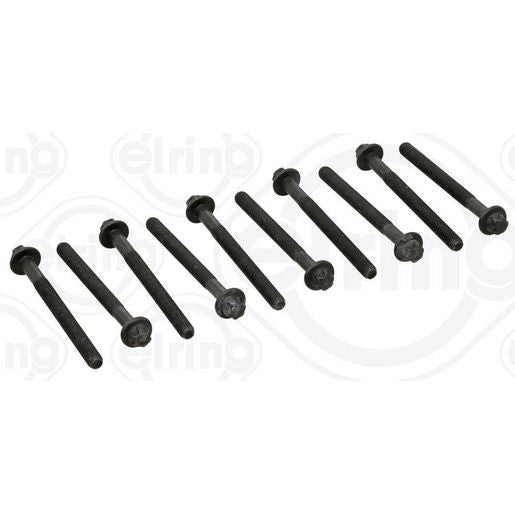 Elring Cylinder Head Bolts 373.32
