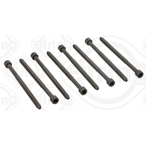 Elring Cylinder Head Bolts 325.04