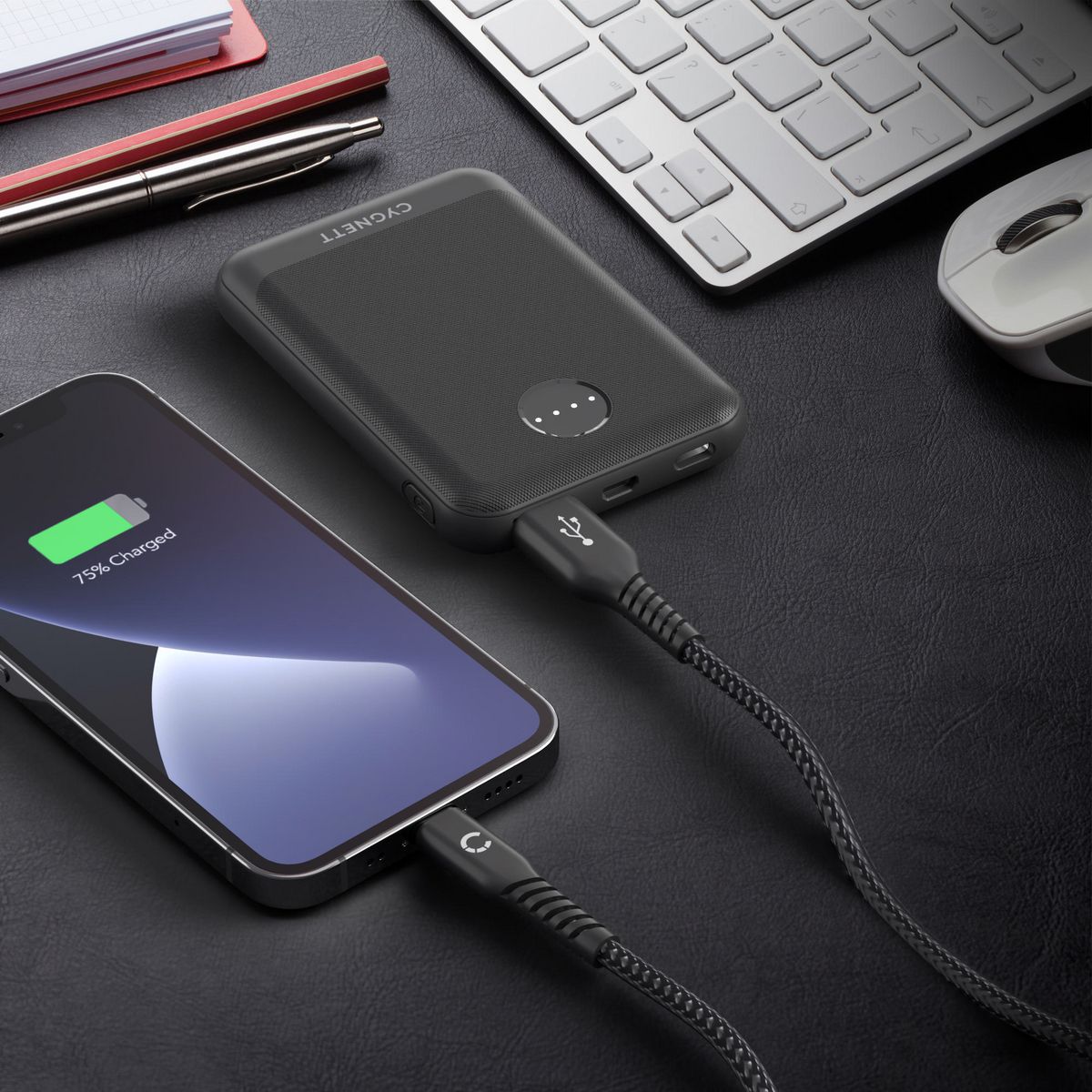 Cygnett Exocharge 5000 Mah Portable Power Bank CY3445BCHE