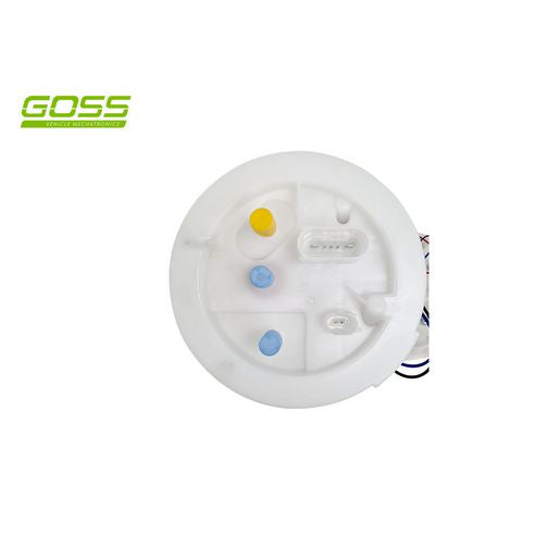 Goss Fuel Pump Module	 - Audi GE603