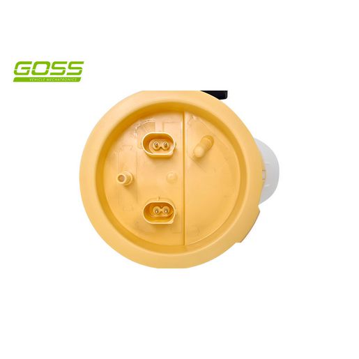 Goss Fuel Pump Module	 - BMW GE610