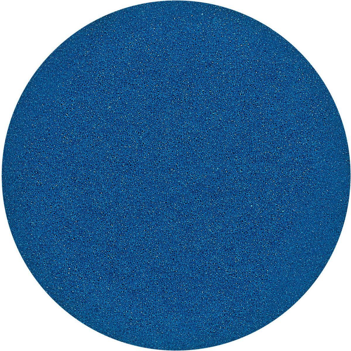 Rupes Da Coarse 54/70Mm Hook On Pad Blue 9.DA70H