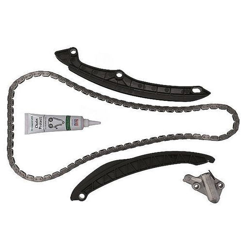 INA Timing Chain Kit 559 0154 10