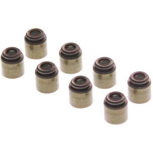 Permaseal Valve Stem Seal Set VSS0169-08