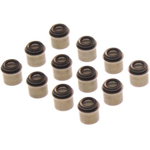 Permaseal Valve Stem Seal Set VSS0166-12
