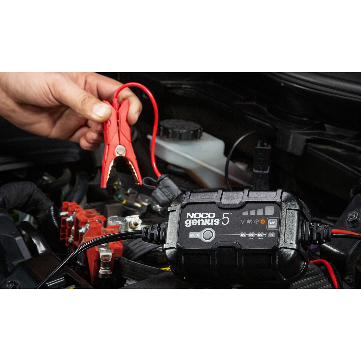 NOCO Battery Charger Genius 6V/12V 5 Amp GENIUS5AU