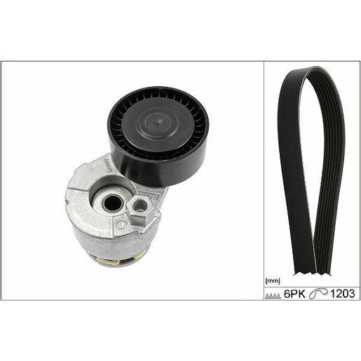 INA V-Ribbed Belt Set 529 0009 10