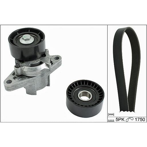 INA V-Ribbed Belt Set 529 0082 10