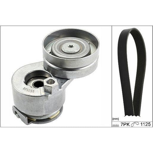 INA V-Ribbed Belt Set 529 0088 10