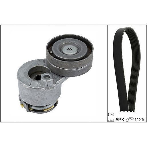 INA V-Ribbed Belt Set 529 0427 10