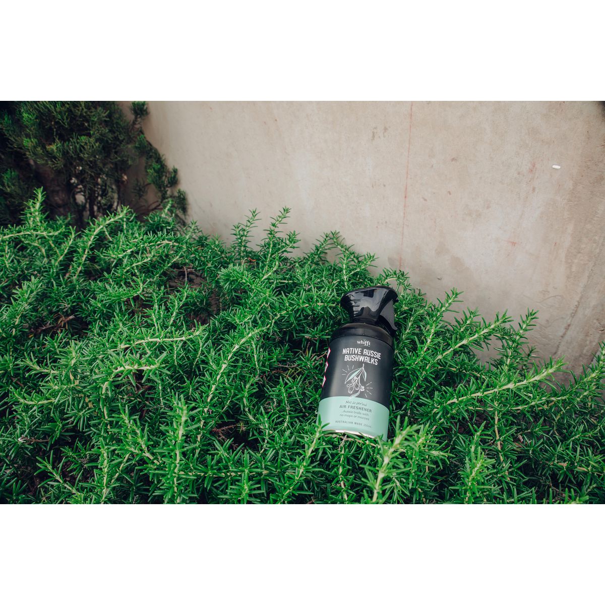 Whifft Aircare Aussie Bushwalk 250ml 10-103-00250