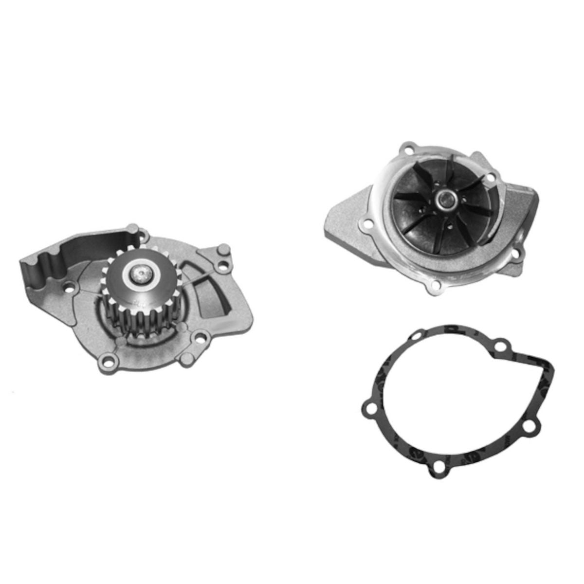 INA Water Pump 538 0428 10