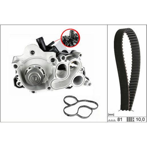 INA Water Pump & Timing Belt Kit 530 0743 30