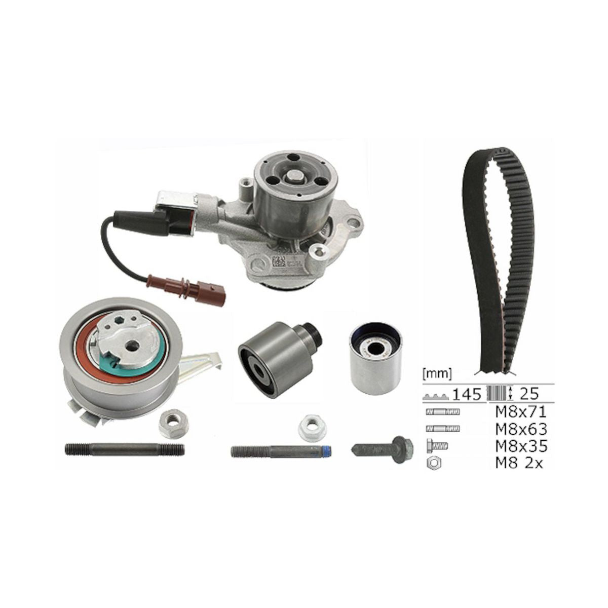 INA Water Pump & Timing Belt Kit 530 0650 30
