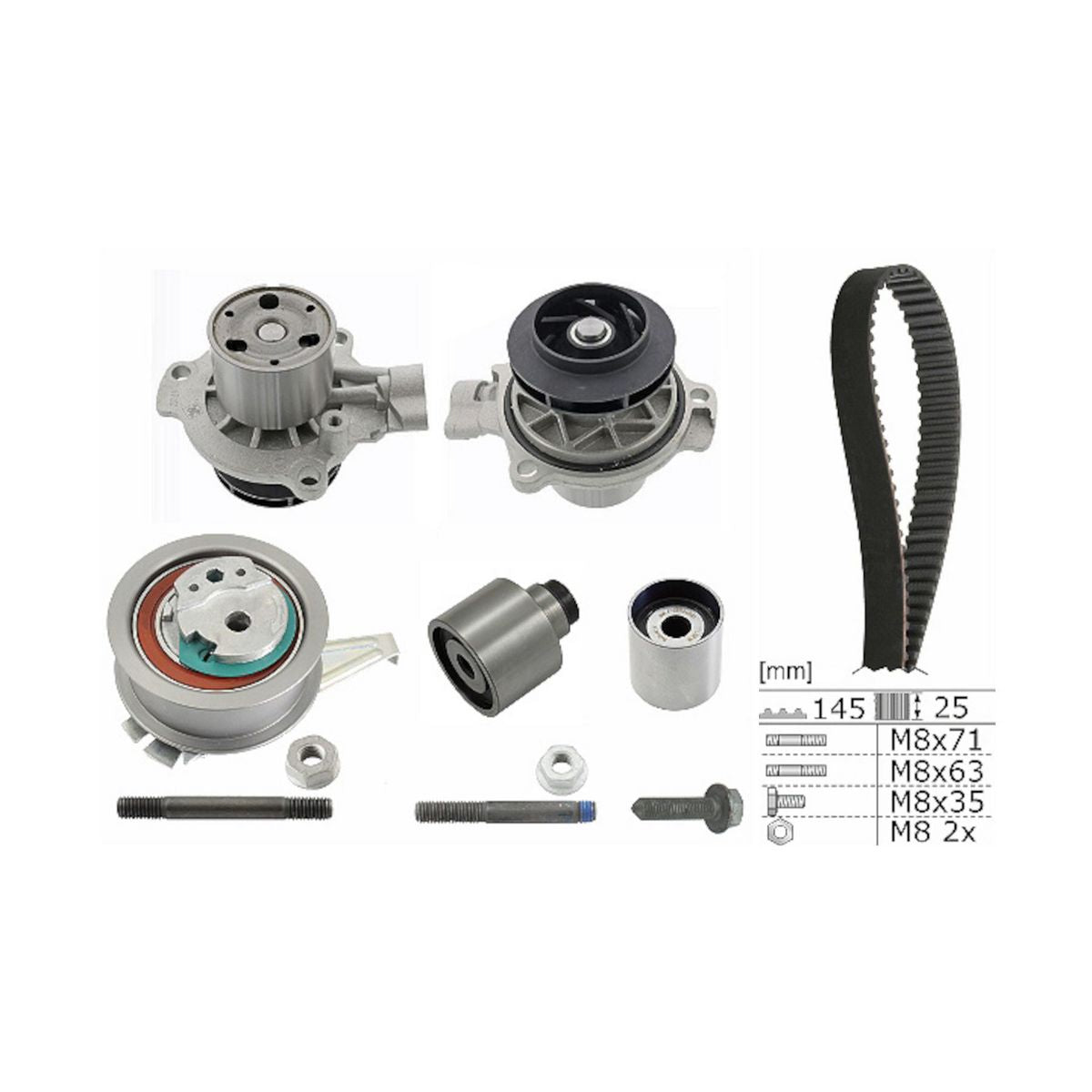 INA Water Pump & Timing Belt Kit 530 0650 31