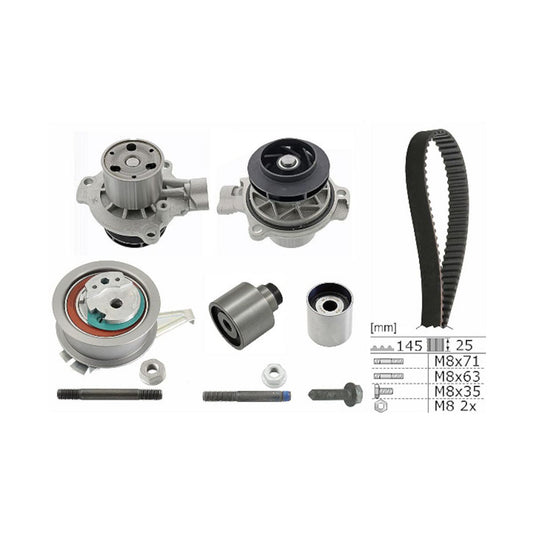 INA Water Pump & Timing Belt Kit 530 0650 31