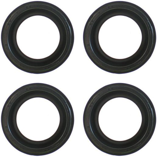 Permaseal Injector Seal INS018-04