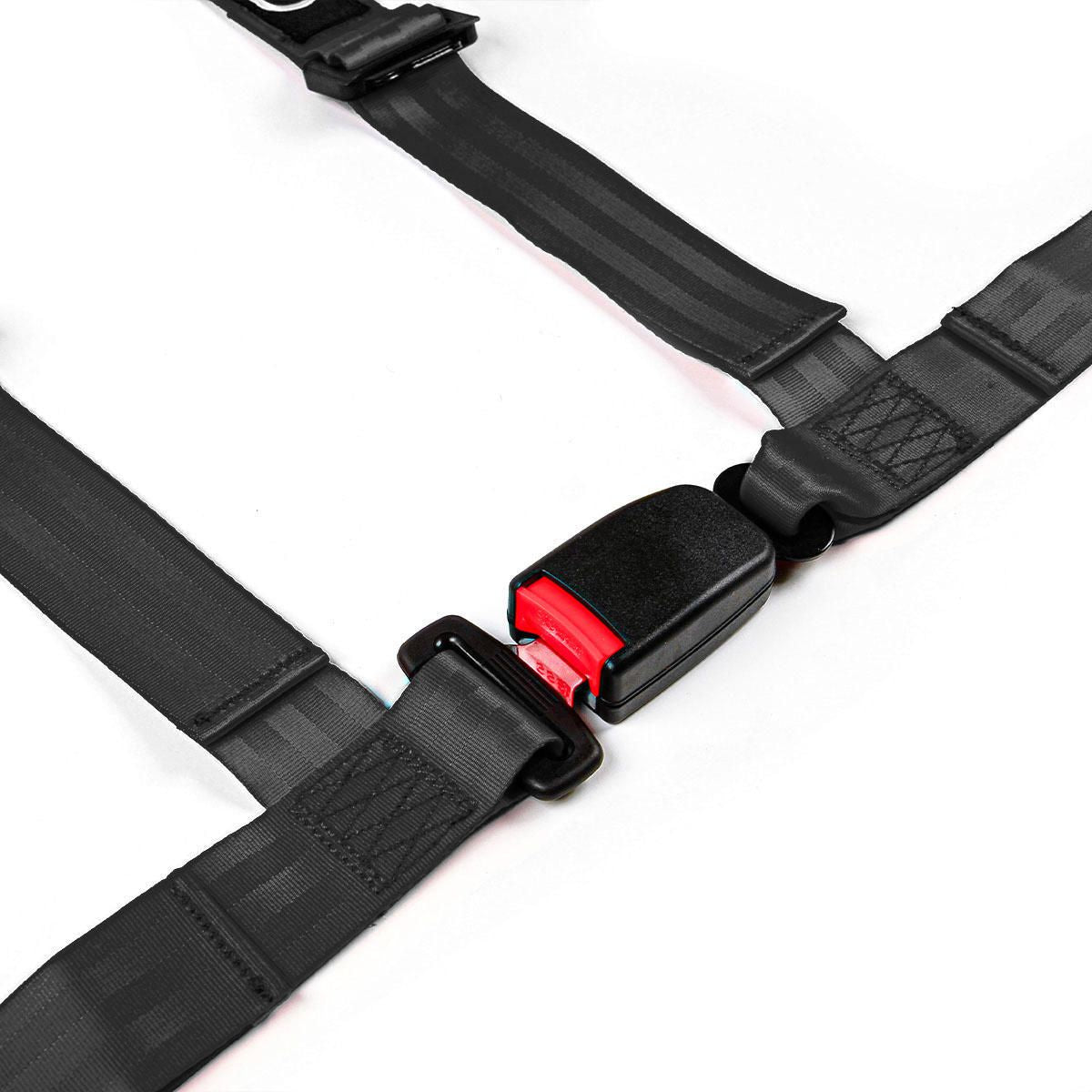 SAAS 4-Point Harness Ec-R16 2 Inch Black S4102R16