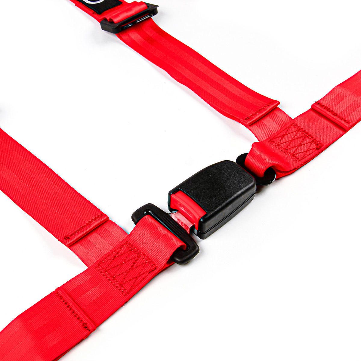 SAAS 4-Point Harness Ec-R16 2 Inch Blue S4302R16