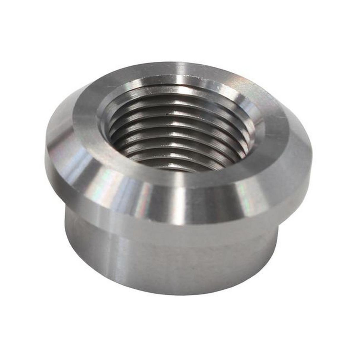 Aeroflow AF998-06SS S/S Weld On Female Bung 3/8" Thread