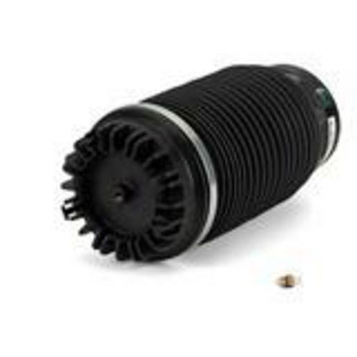 Arnott Rear Air Spring 13-20 RAM 1500/1500 Classic (DS) LT/RT A-3016