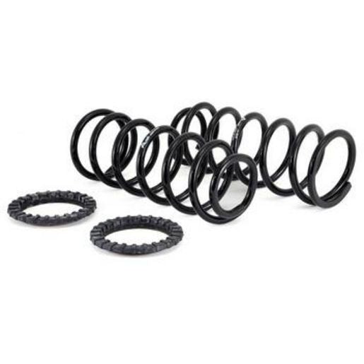 Arnott Rear Coil Spring Conv Kit - 03-09 Lexus GX 470/(Toyota Land Cruiser Prado) (J120) C-2410
