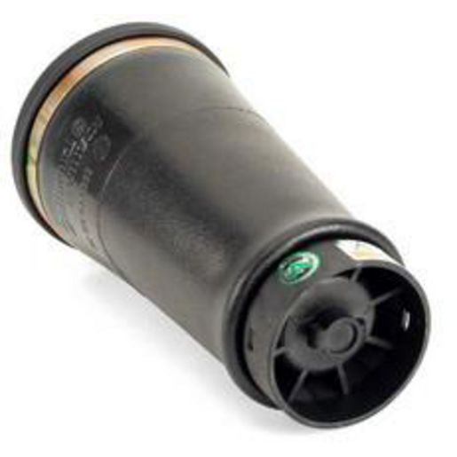Arnott Rear Air Spring - 98-04 Land Rover Discovery II (L318) - LT/RT A-2202