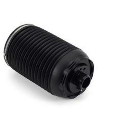 Arnott Front RT Air Strut- 03-09 MB E-Class (W211)-w/AIRMATIC & ADS, w/4MATIC AS-3000
