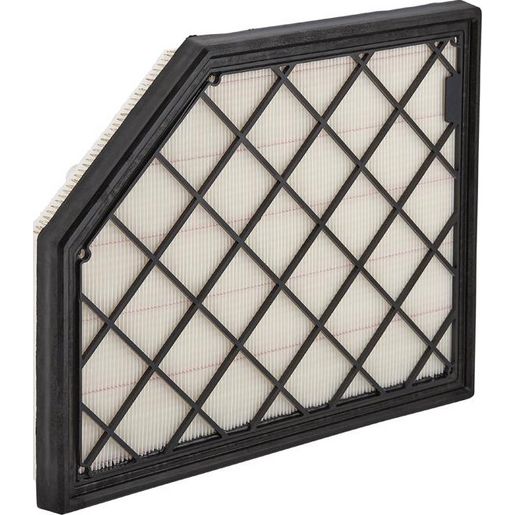 Ryco Air Filter
