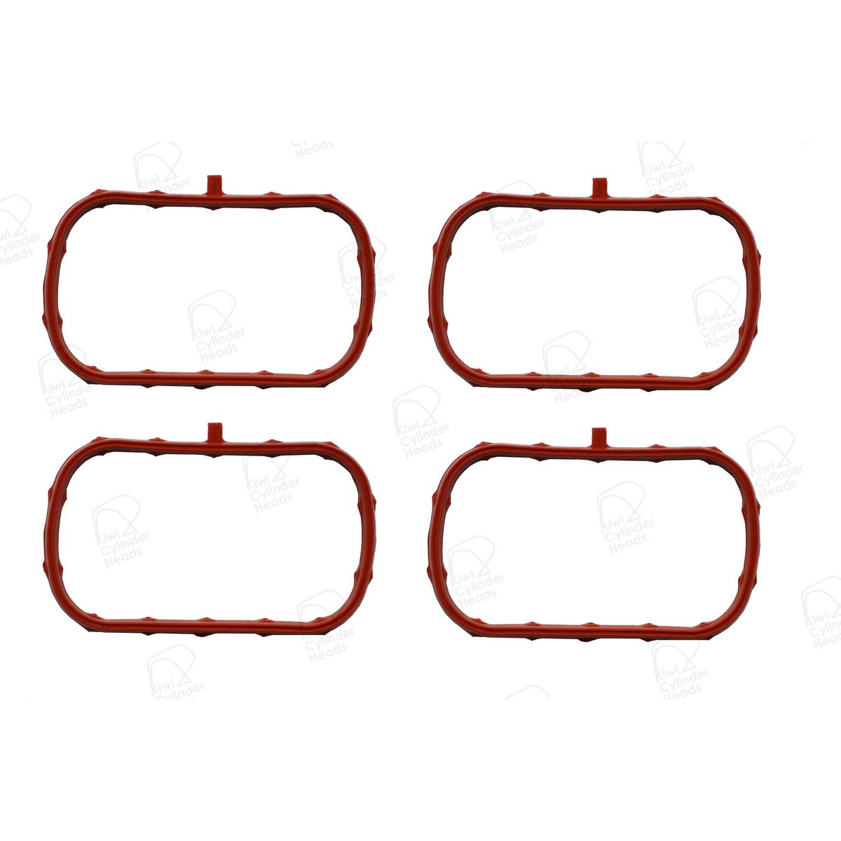 Kiwi Cylinder Heads Manifold Inlet Gasket Set 25042031