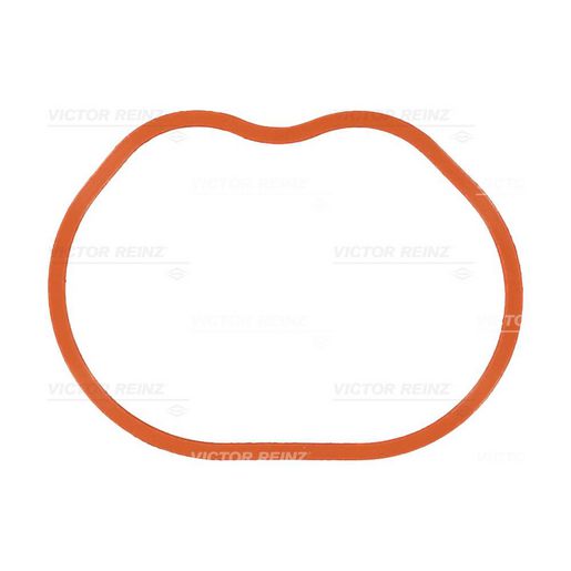 Kiwi Cylinder Heads Manifold Inlet Gasket Set 25115533VR