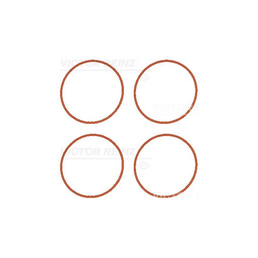 Kiwi Cylinder Heads Manifold Inlet Gasket Set 25217632VR