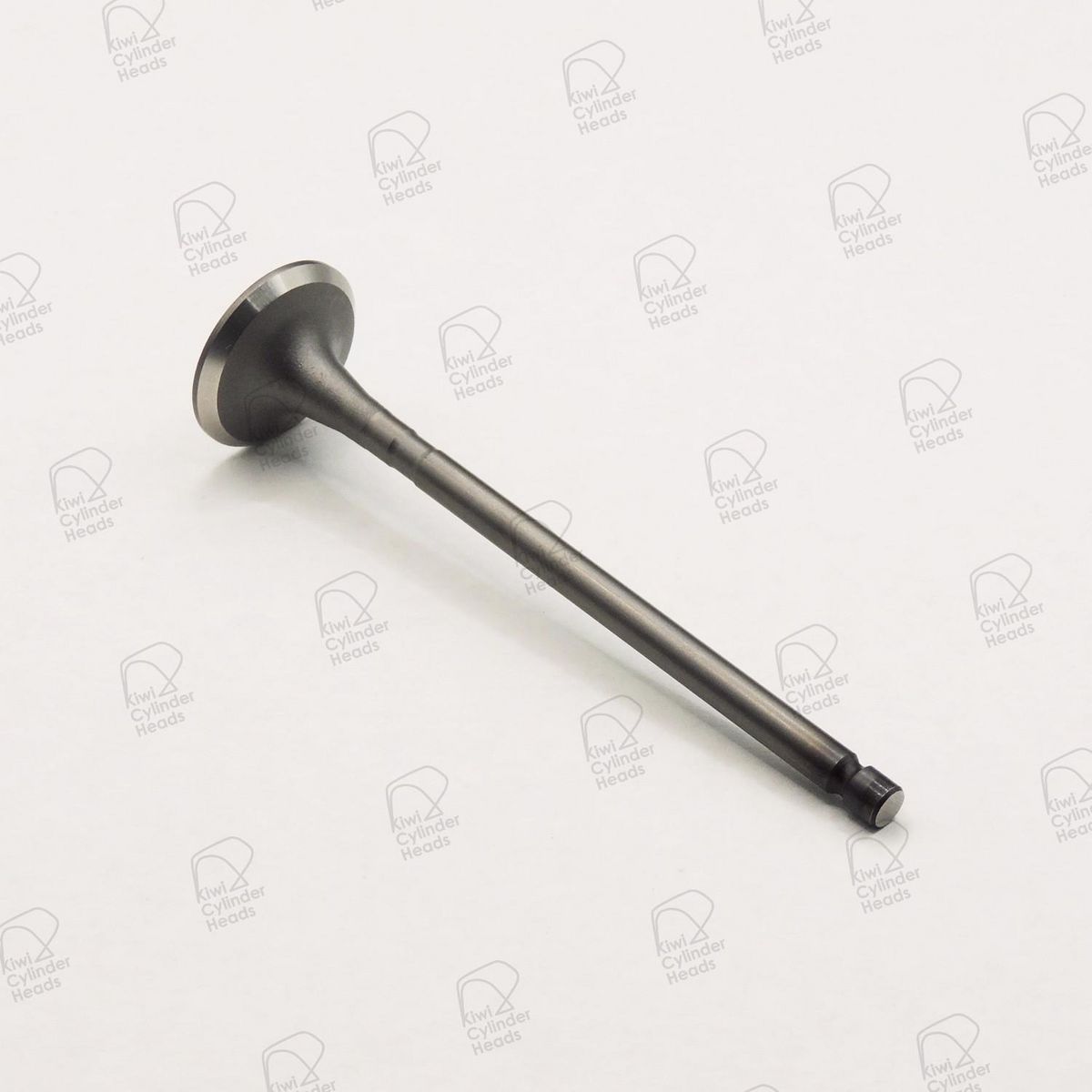 Kiwi Exhaust Valve 52080208