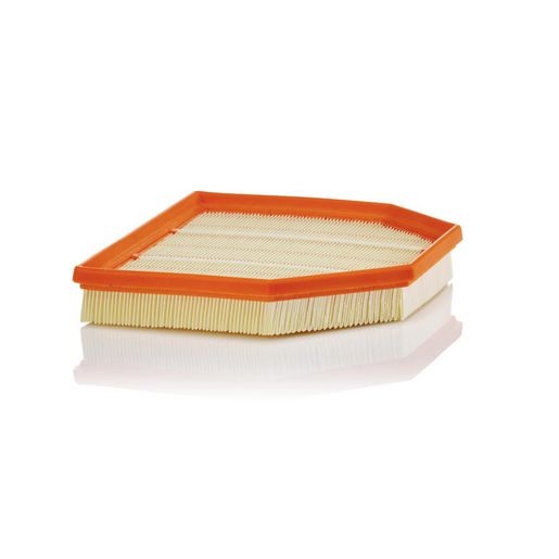 MANN Air Filter C 24 243