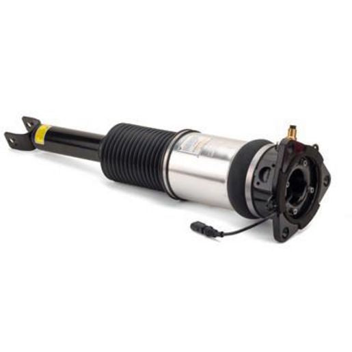 Arnott Front LT Coil Strut Assembly - 08-21 Toyota Sequoia (XK60) SK-3795