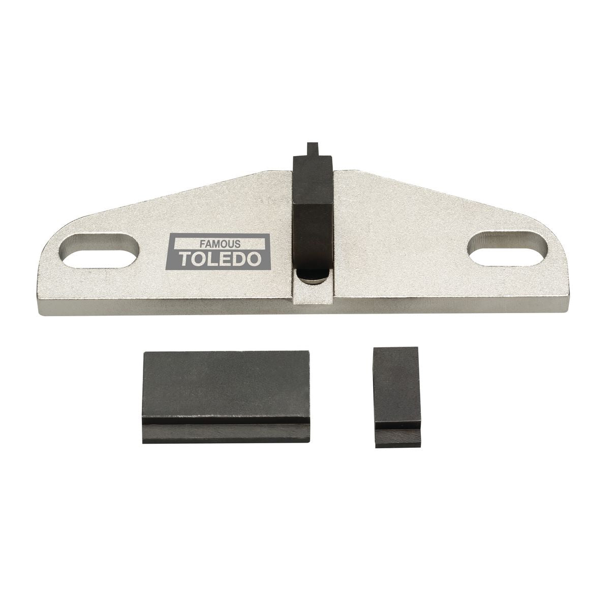 Toledo Flywheel Locking Tool 304203