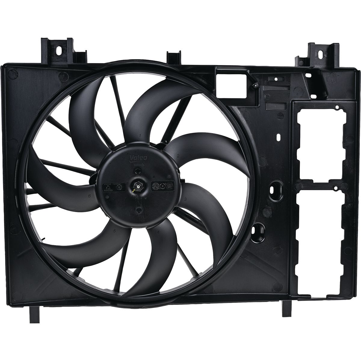 Valeo Electric Fan Assembly 696586