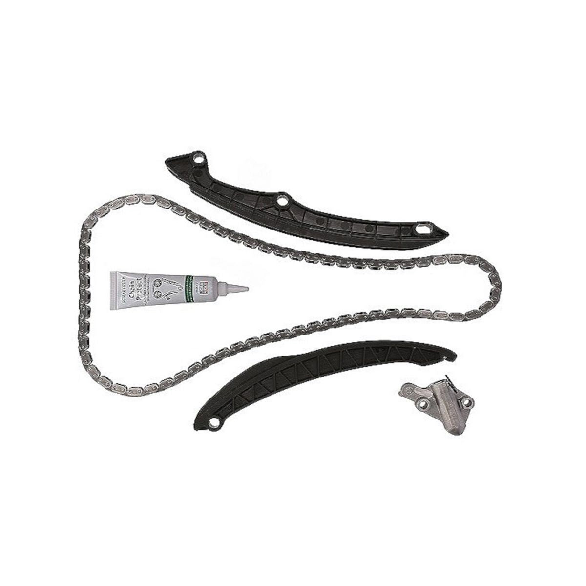 INA Timing Chain Kit 559 1818 21