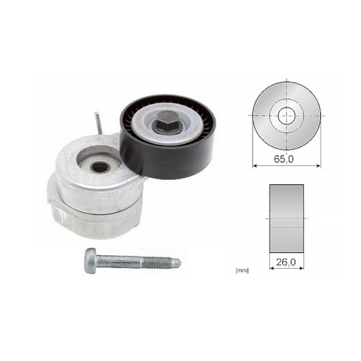 INA Belt Tensioner 534 0607 10