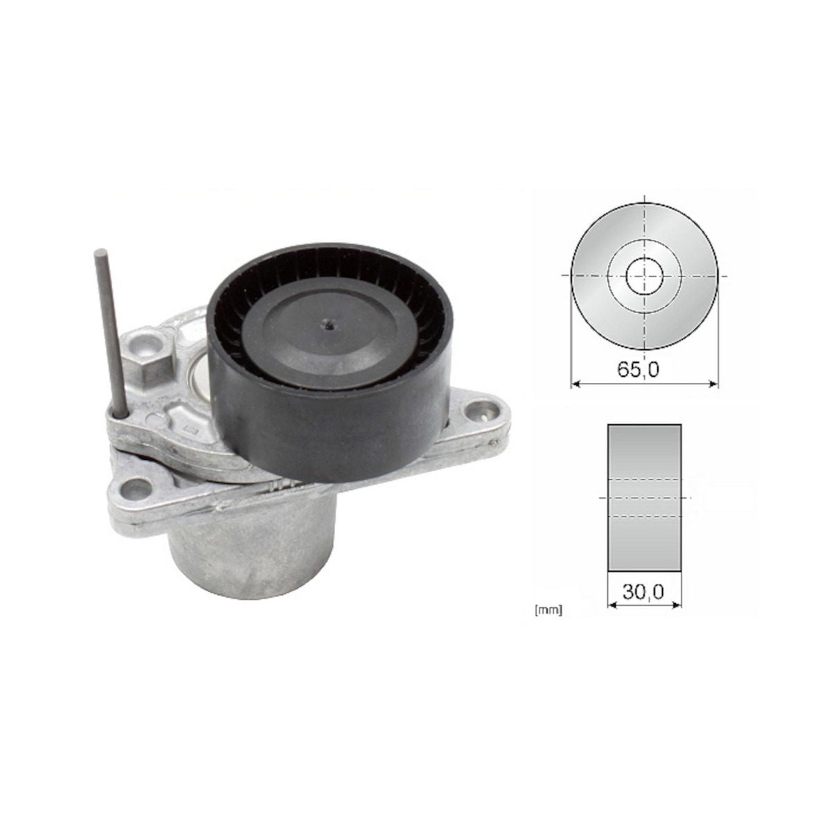 INA Belt Tensioner 534 0624 10