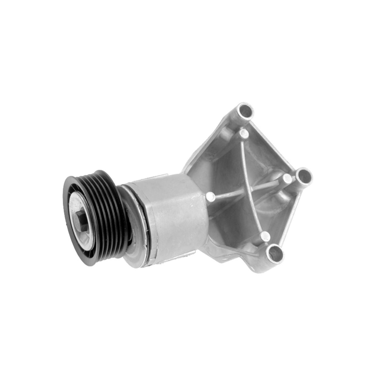 INA Belt Tensioner 534 0131 20