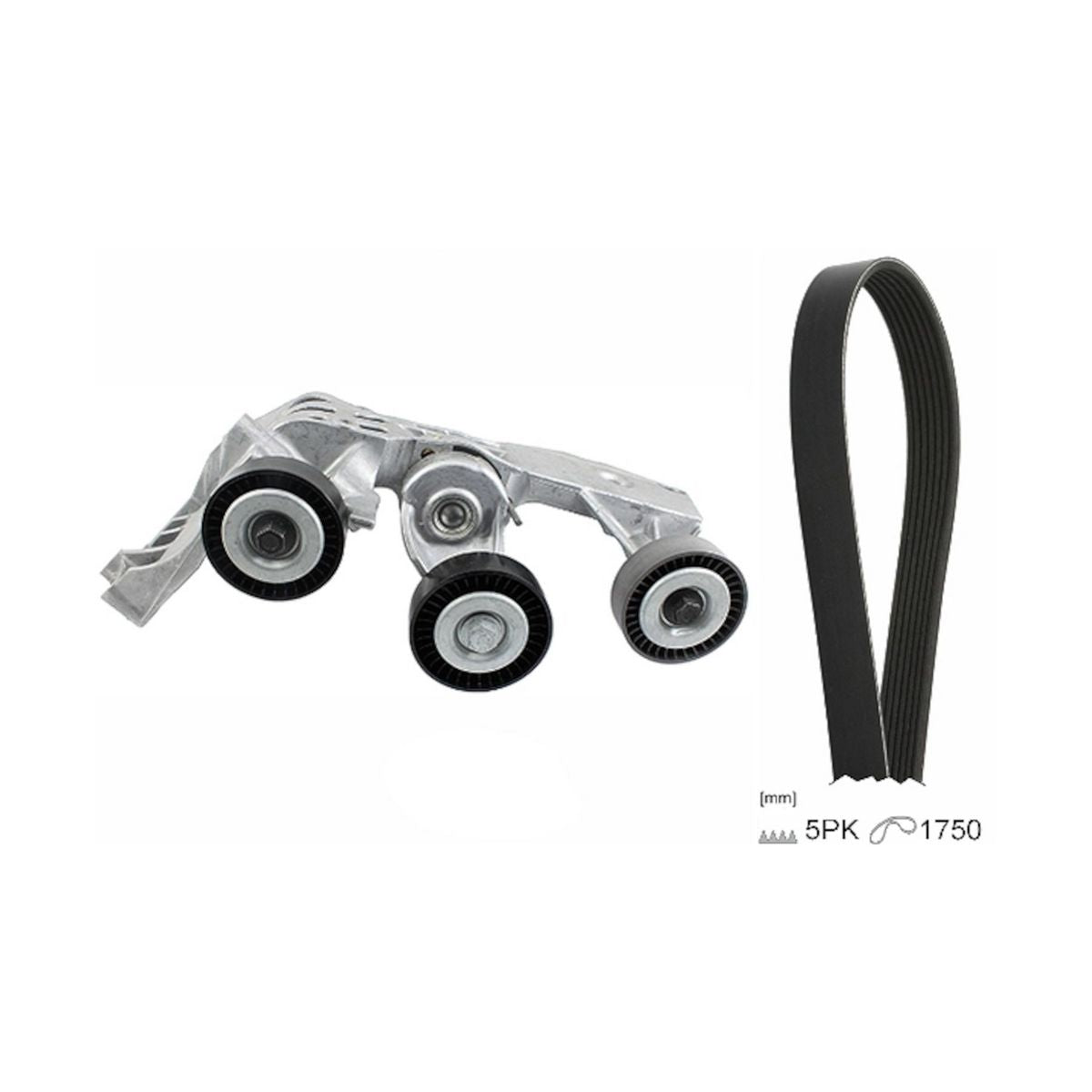 INA V-Ribbed Belt Set 529 0081 10