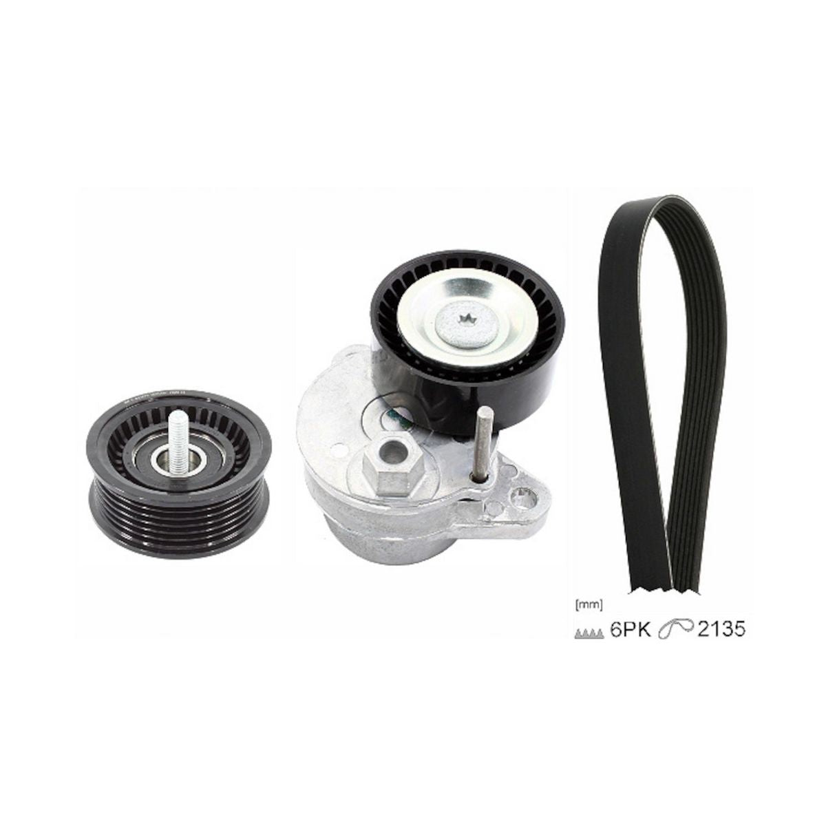 INA V-Ribbed Belt Set 529 0494 10
