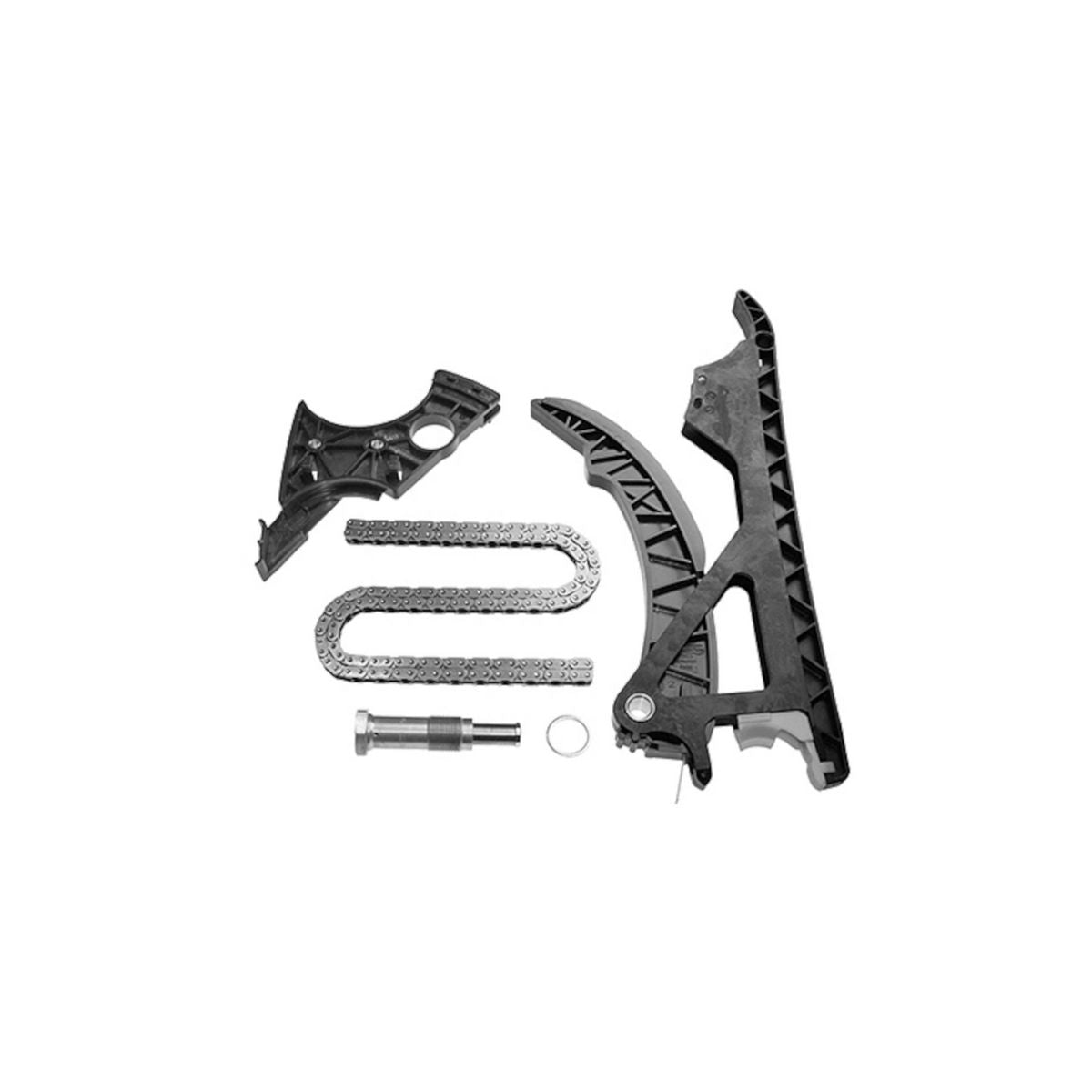 INA Timing Chain Kit 559 1842 20