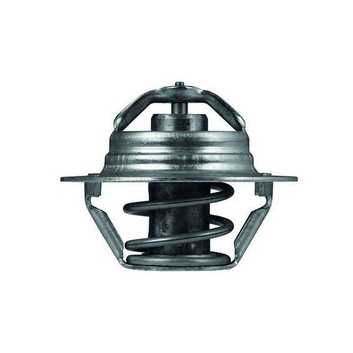 MAHLE Thermostat TX 100 89D