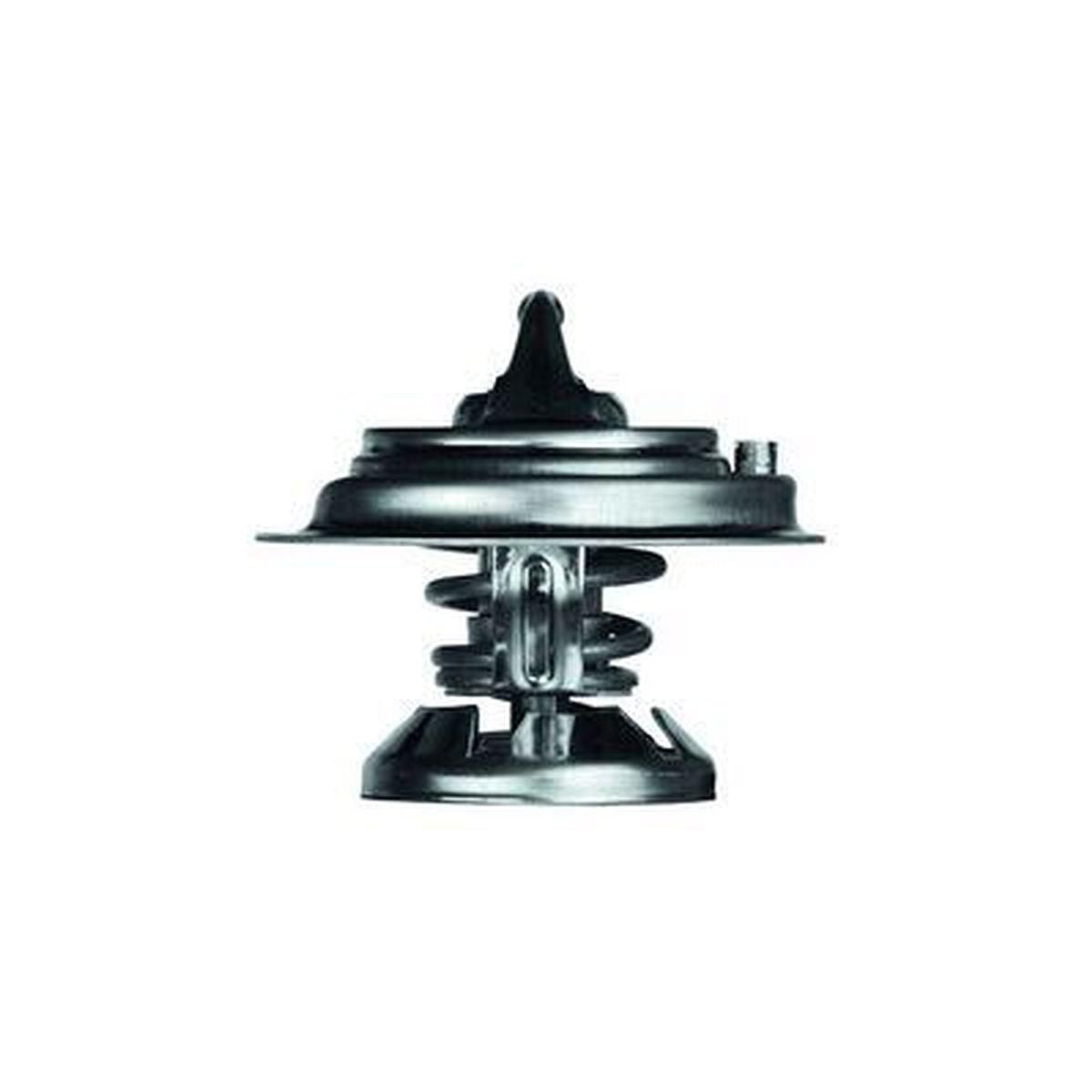 MAHLE Thermostat TX 29 80D
