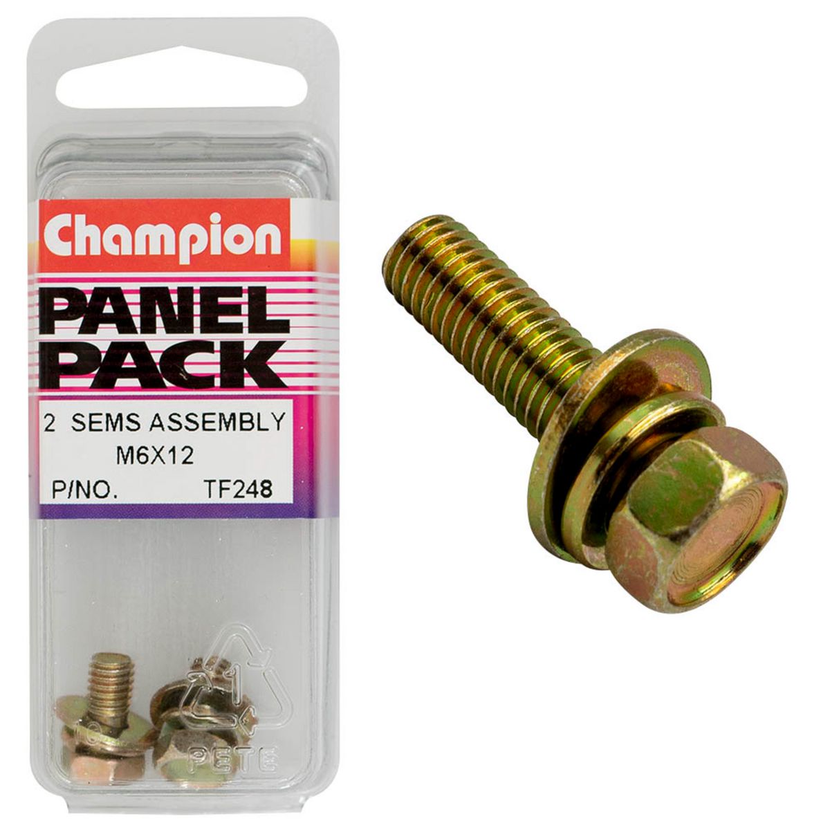 Champion Hex Set Screws-Sems-Hex Ind-Flat/Spring Washers-M6X12mm TF248