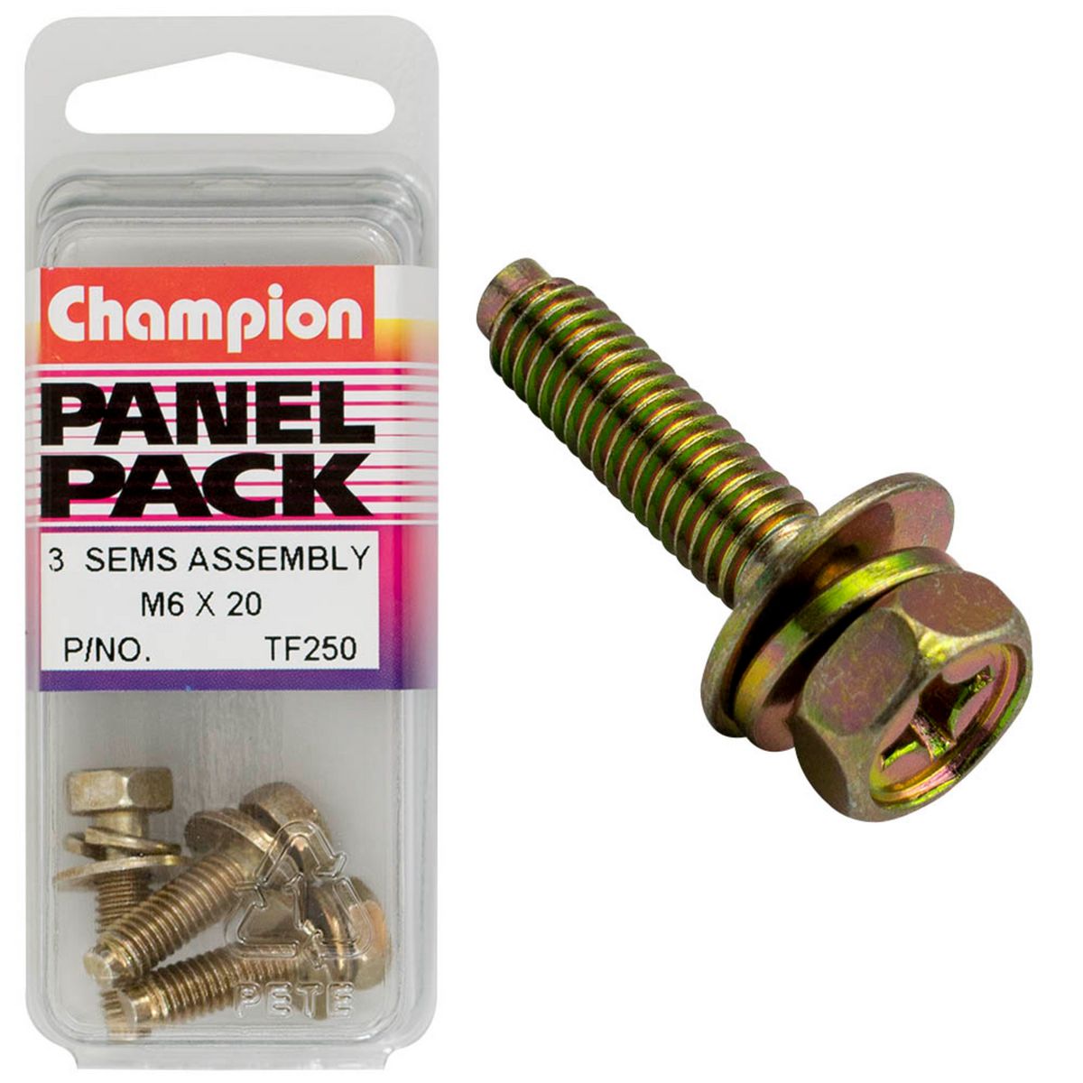 Champion Hex Set Screws-Sems-Hex Ind Combo Dve-Flat/Spring Washer-Pilot-M6X20mm TF250