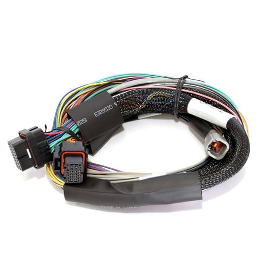 Haltech Elite 1500, 2500 & 2500 T Basic Universal Wire-in Harness 2.5m (8') HT-141302